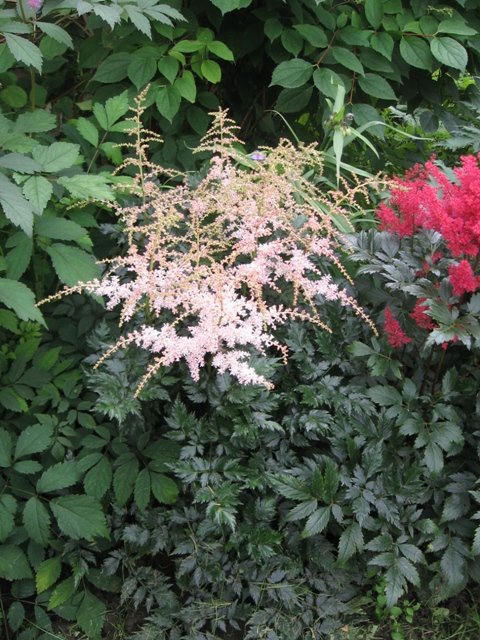 Превью изображения