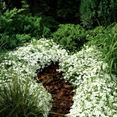 Превью изображения