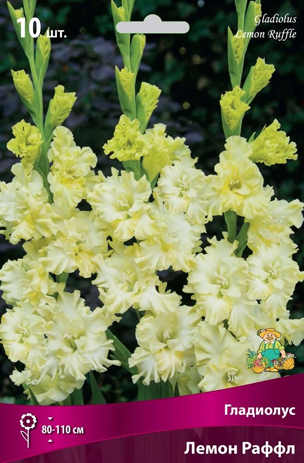 Превью изображения