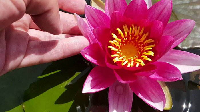 Превью изображения