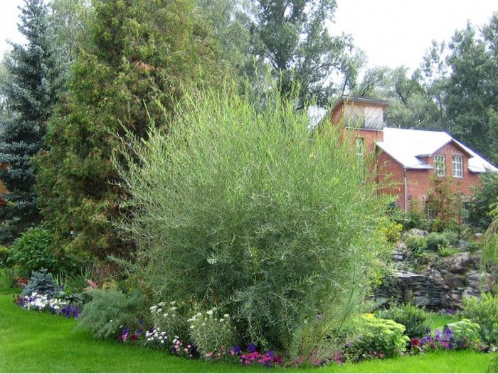 Превью изображения