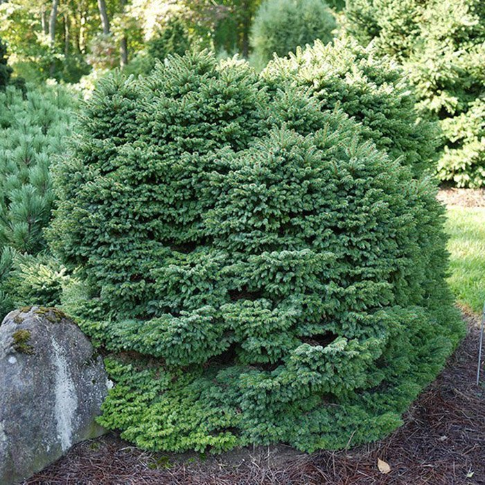 Превью изображения