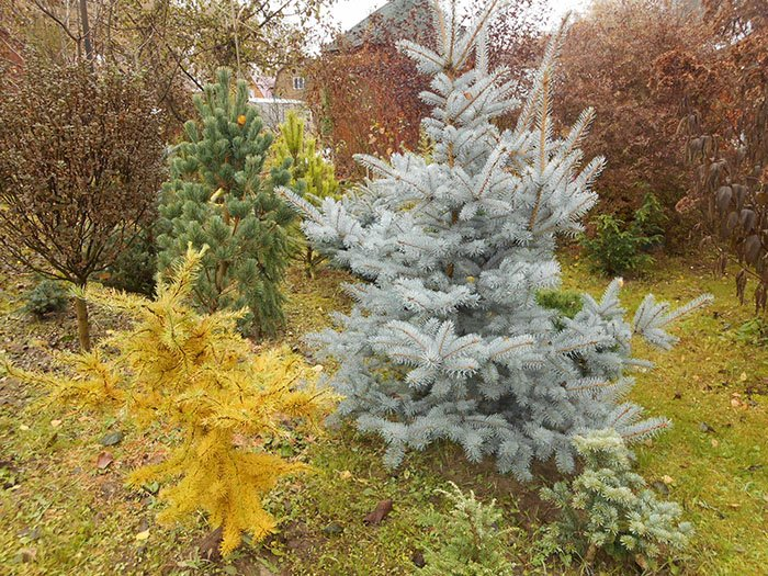 Превью изображения