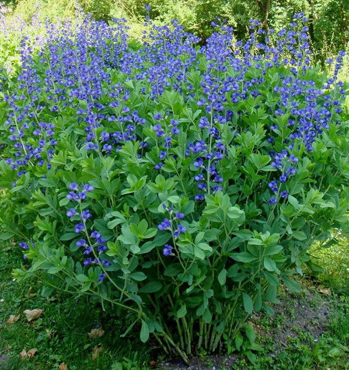 Превью изображения