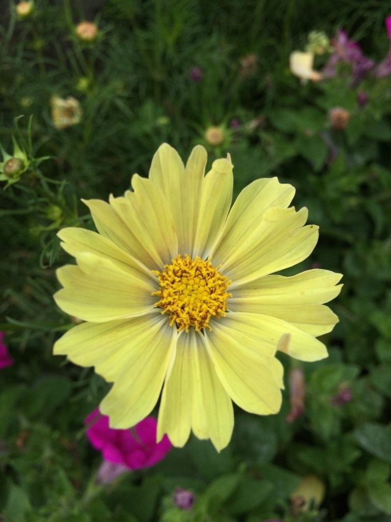 Превью изображения