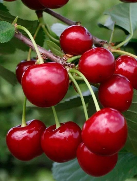 Превью изображения