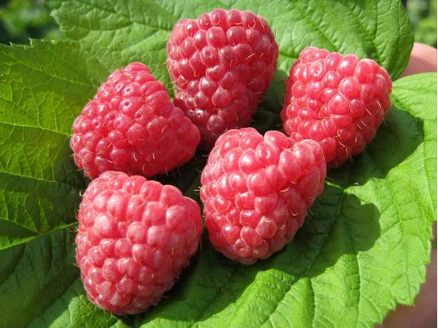 Превью изображения