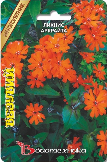 Превью изображения