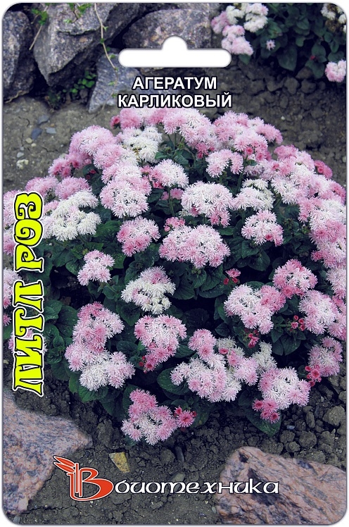 Превью изображения