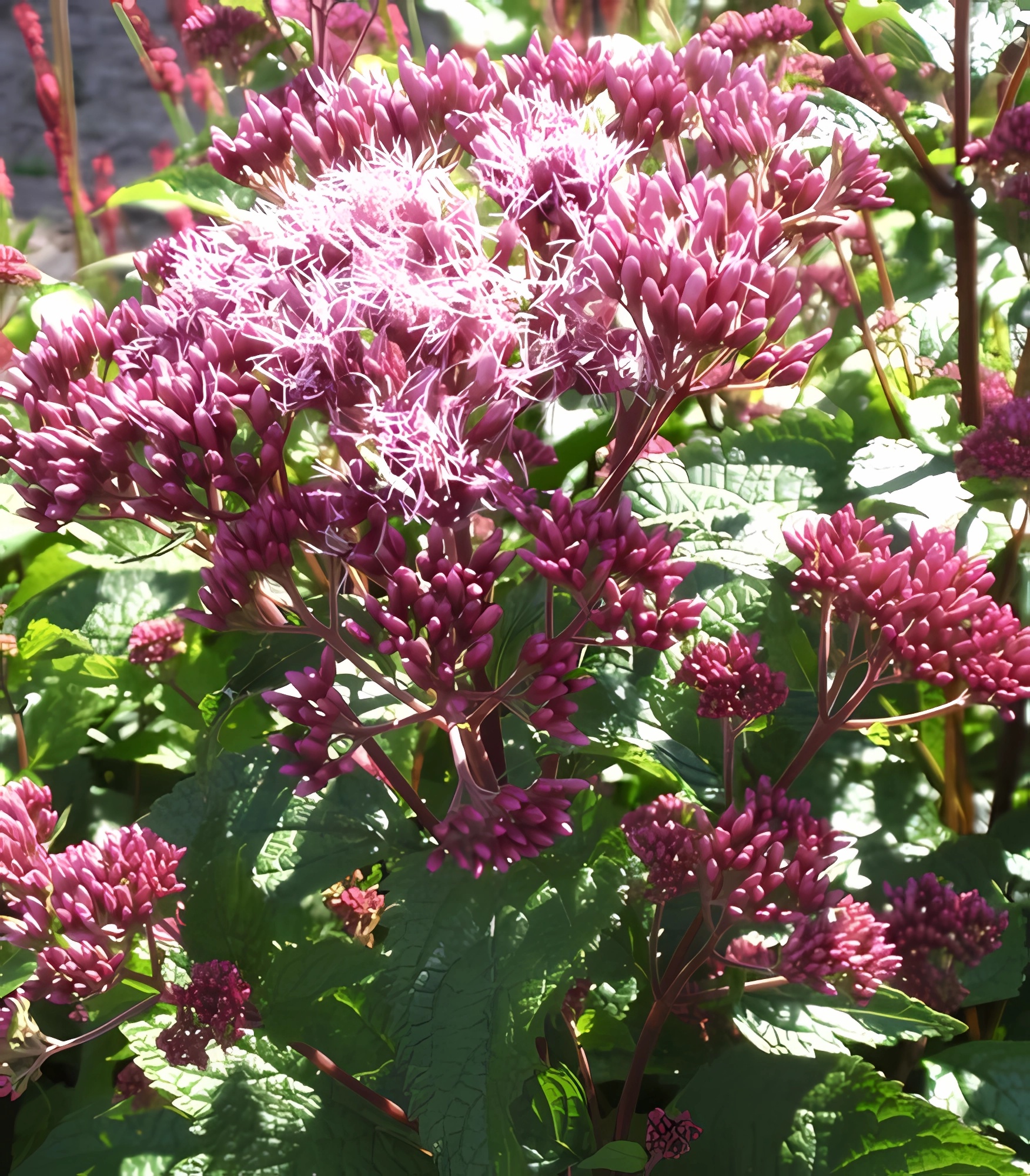 Превью изображения