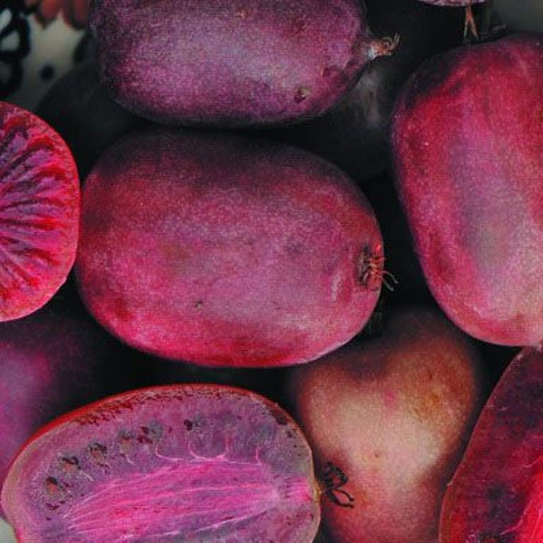 Превью изображения