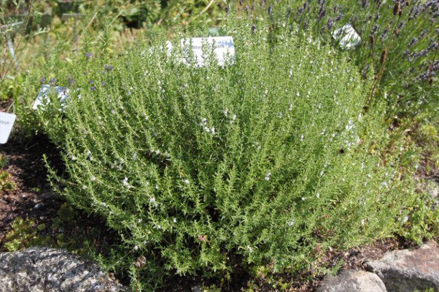 Превью изображения