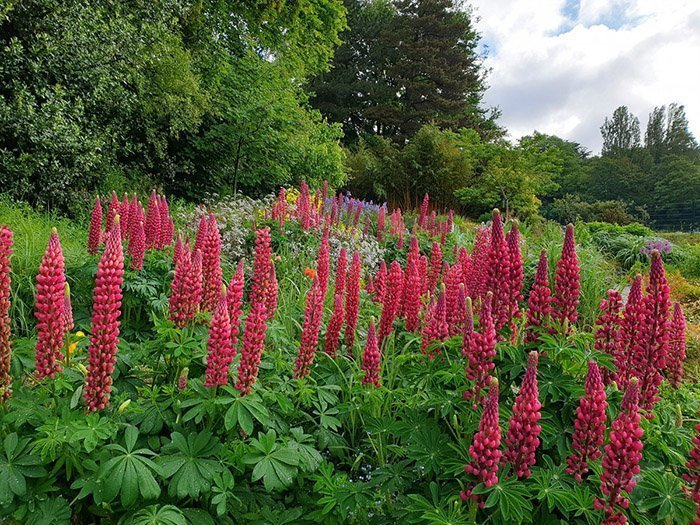 Превью изображения