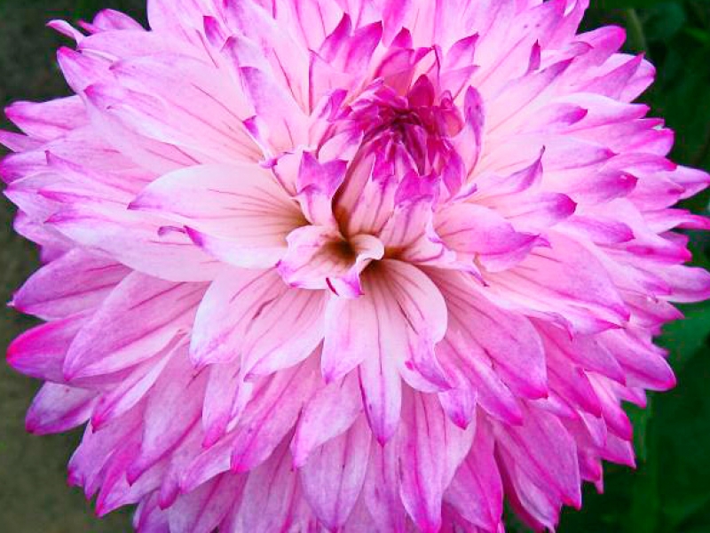 Превью изображения