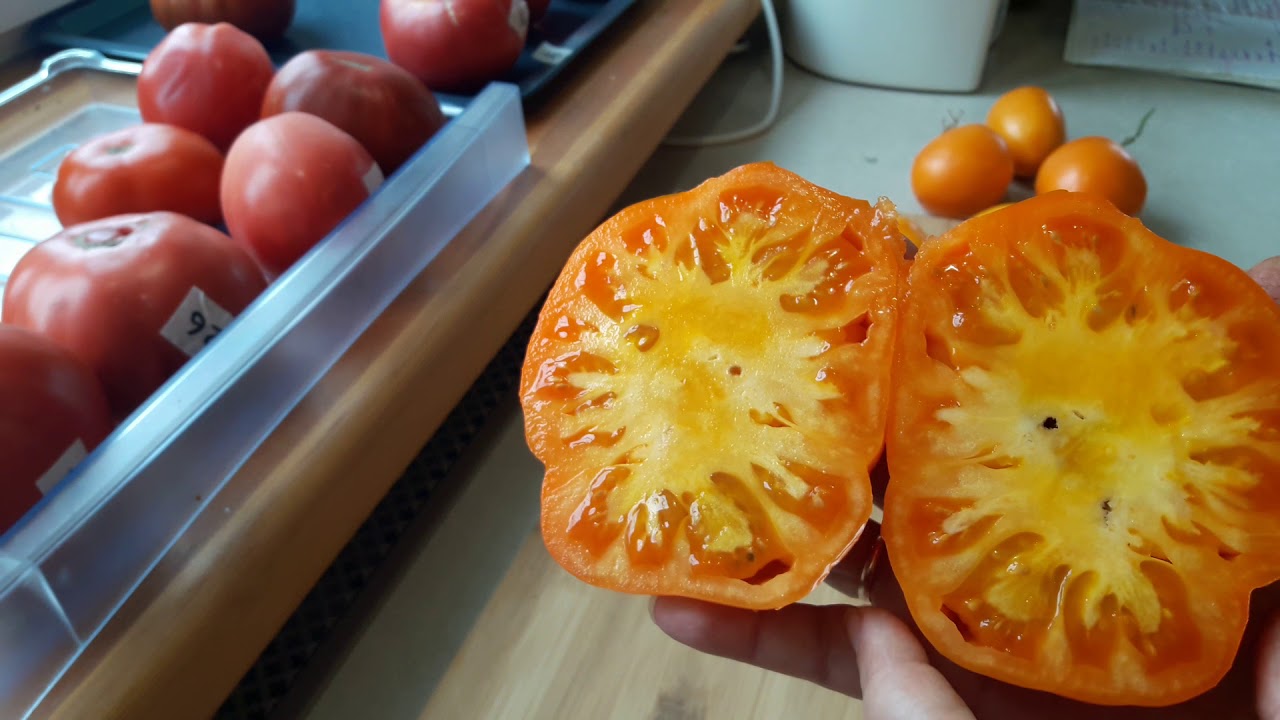 Превью изображения