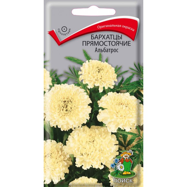 Превью изображения