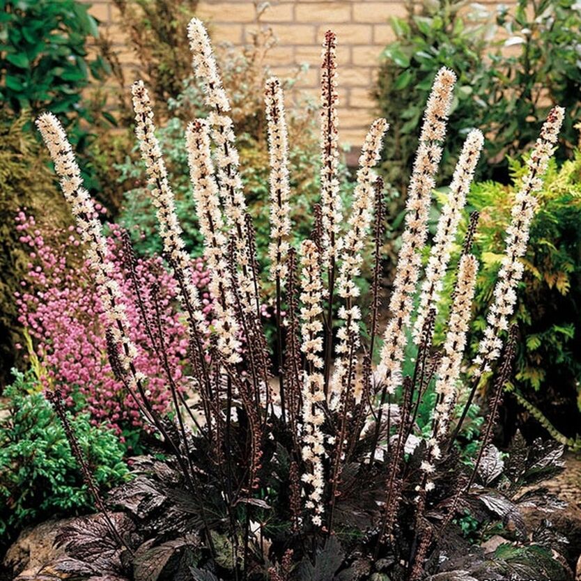 Превью изображения