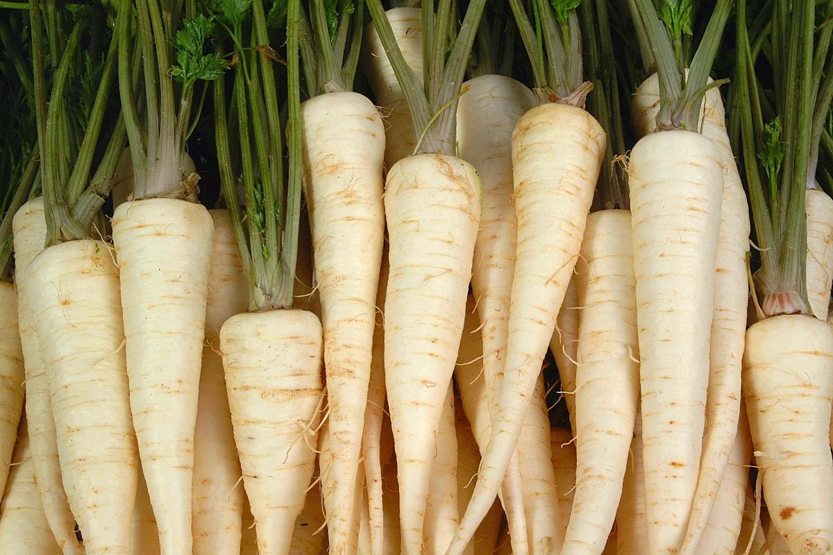 Превью изображения