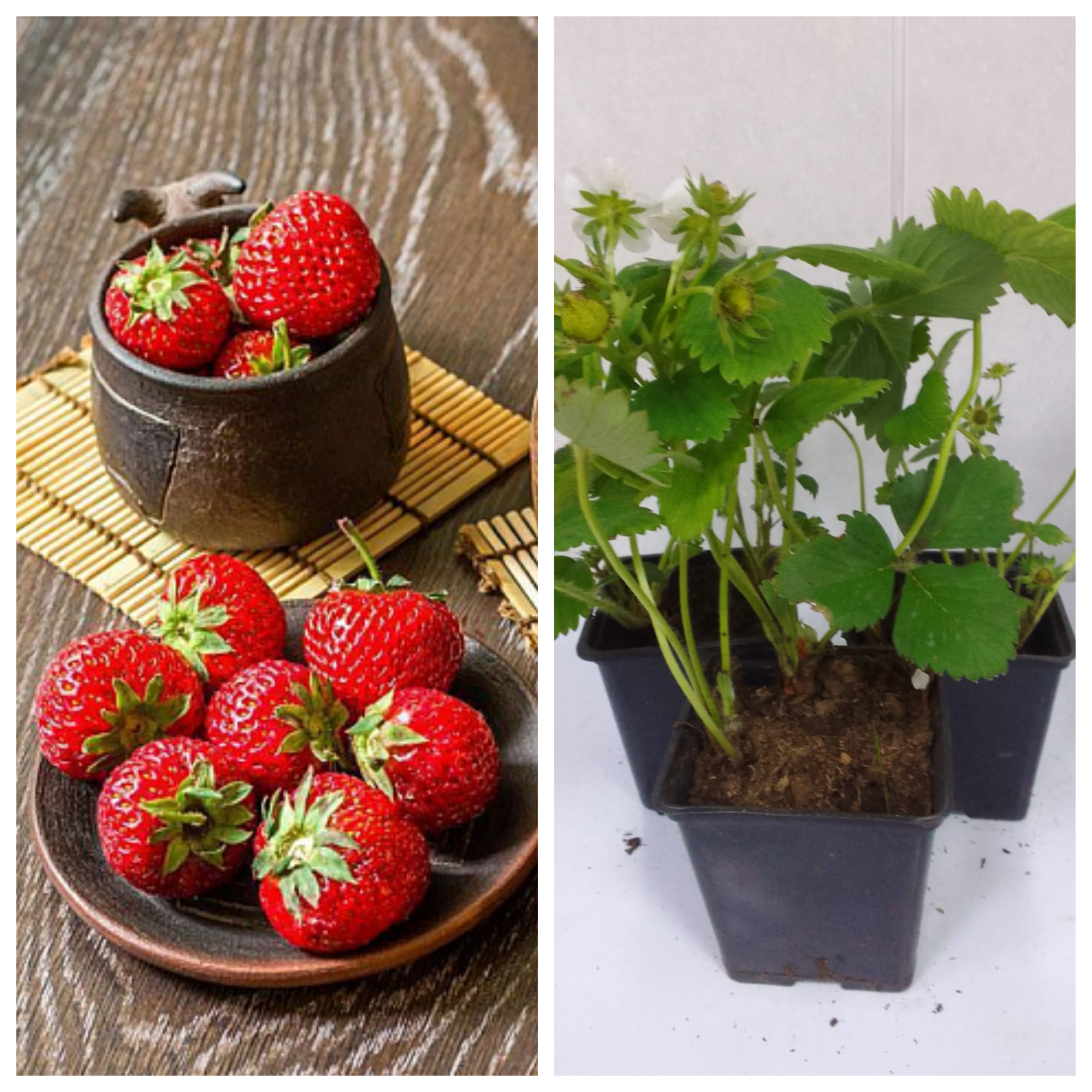 Превью изображения