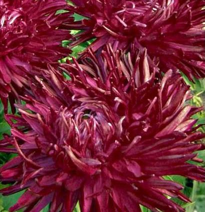 Превью изображения