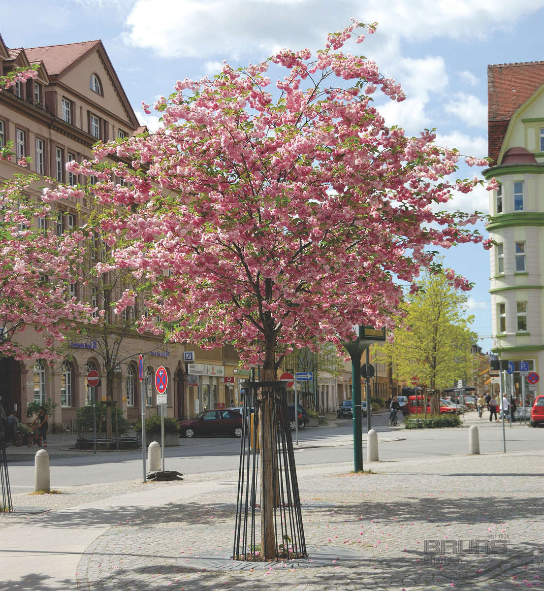 Превью изображения