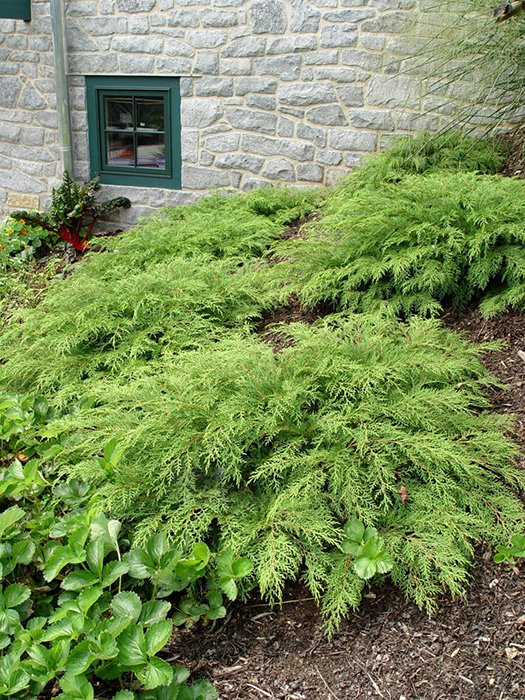 Превью изображения