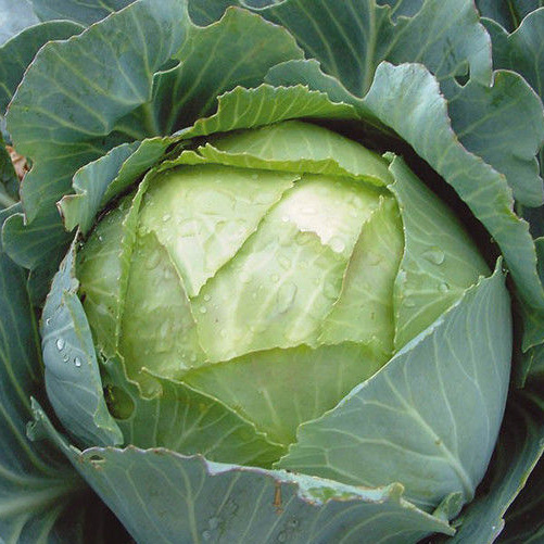 Превью изображения