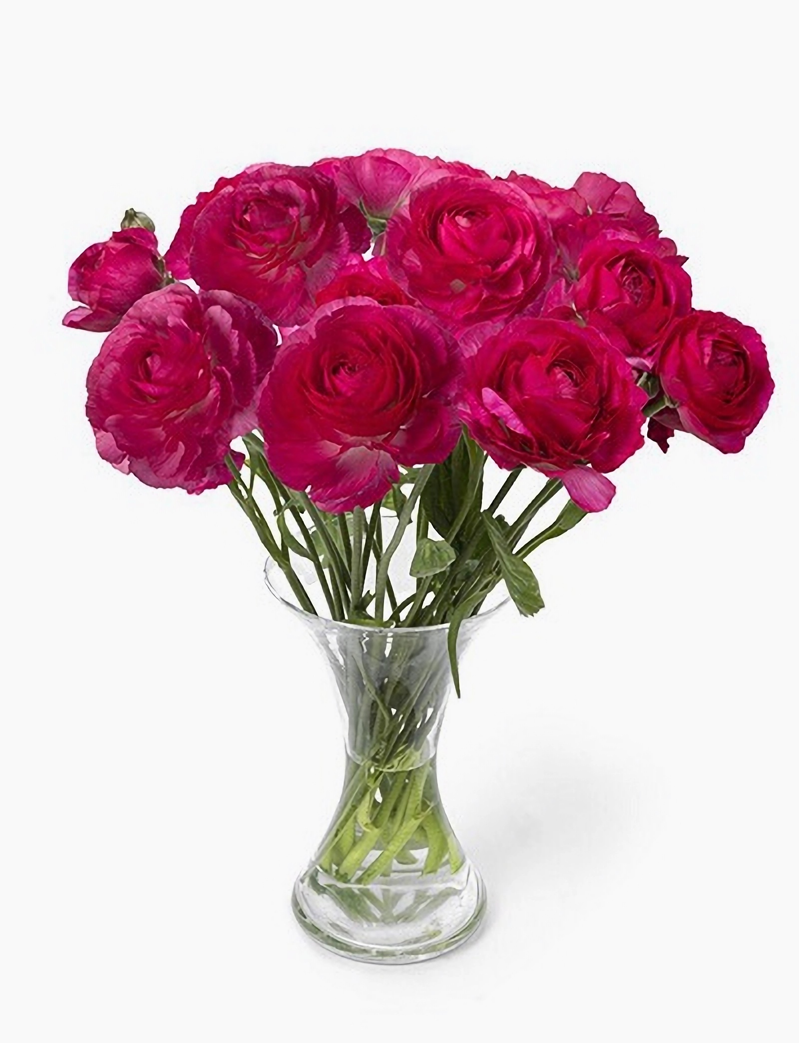 Превью изображения