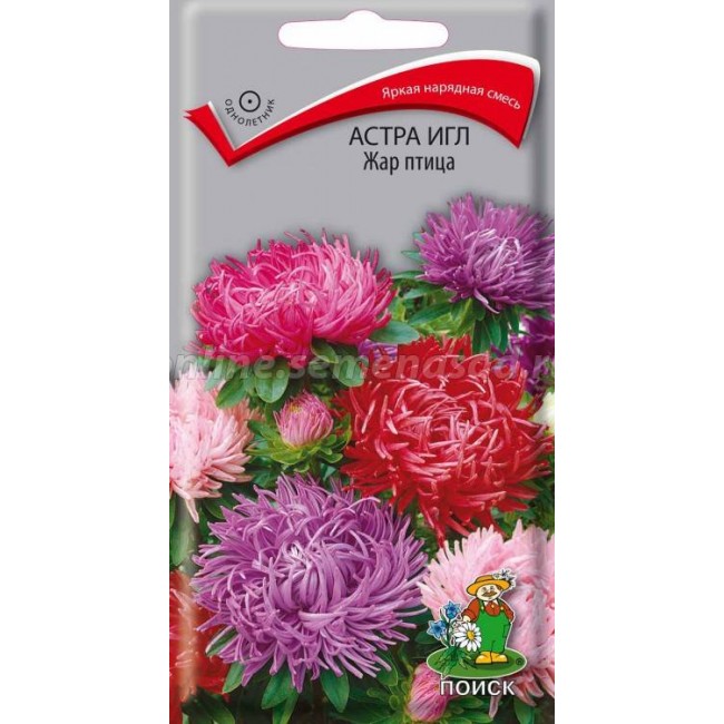 Превью изображения