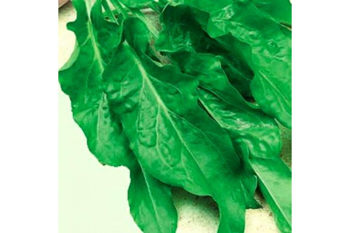 Превью изображения