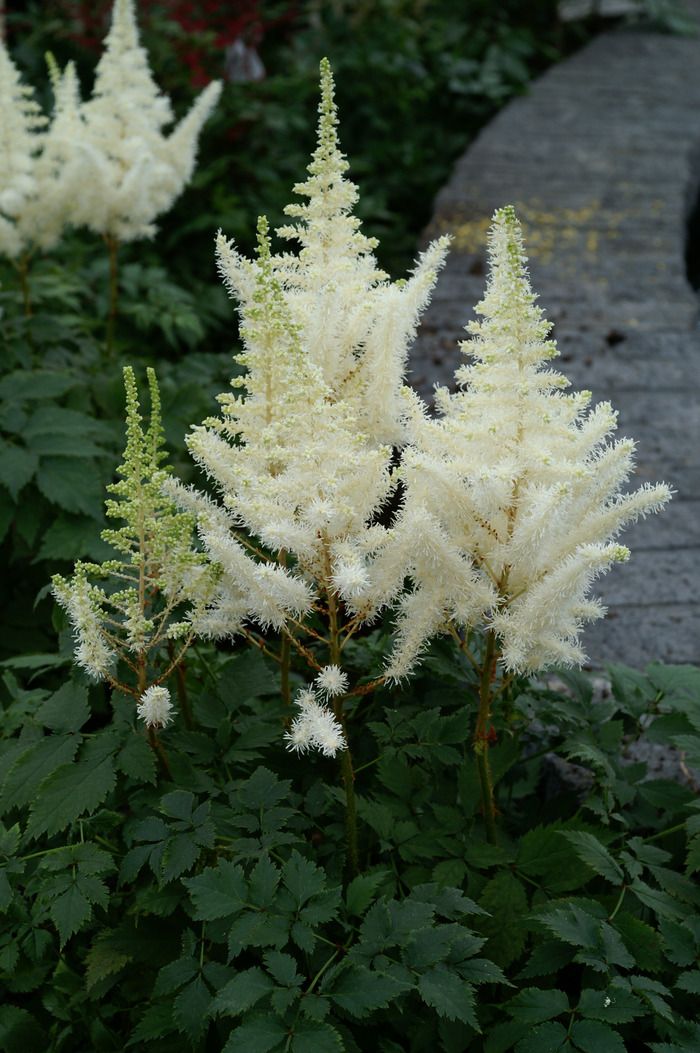 Превью изображения