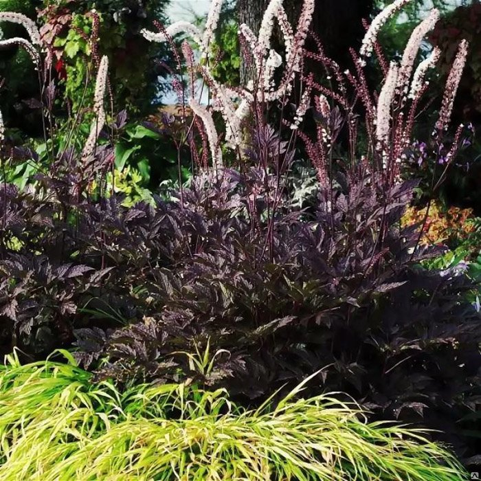 Превью изображения