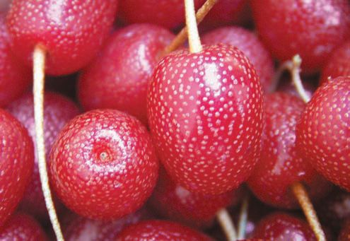 Превью изображения