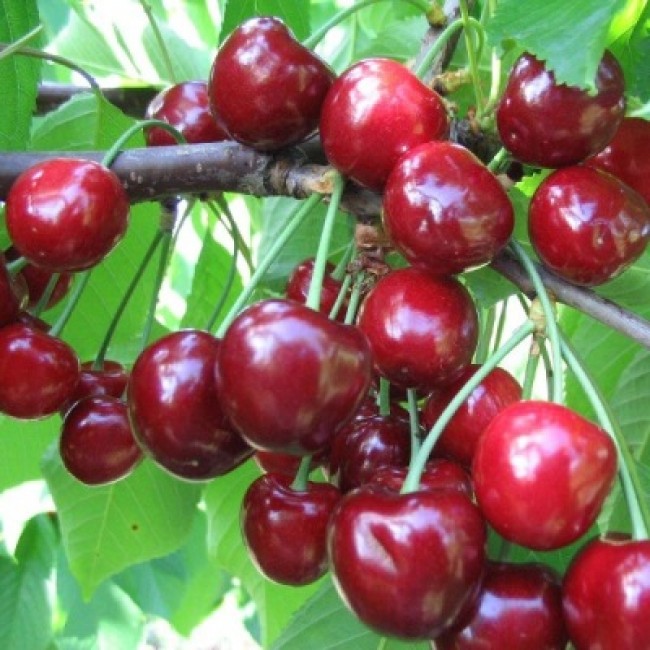 Превью изображения