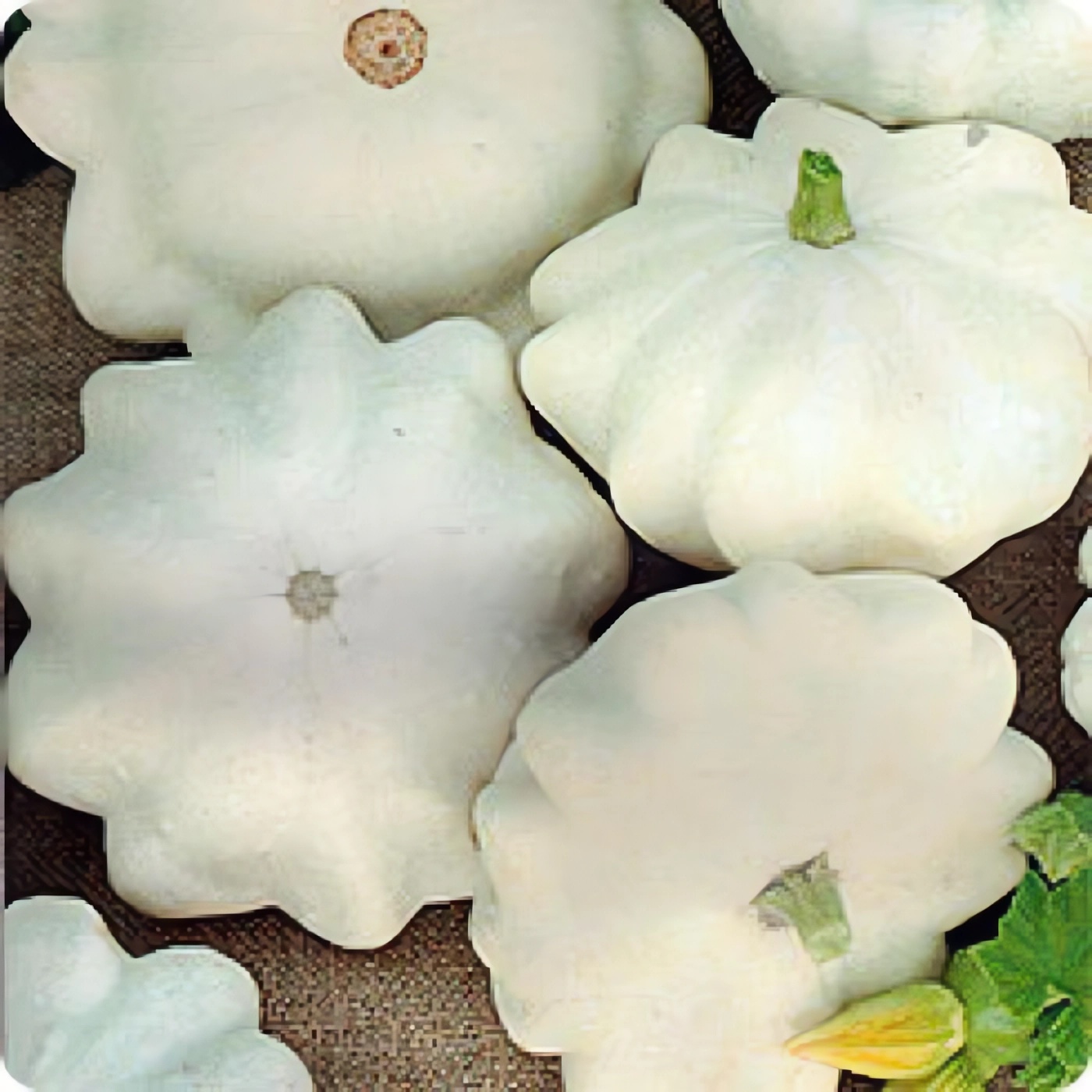 Превью изображения