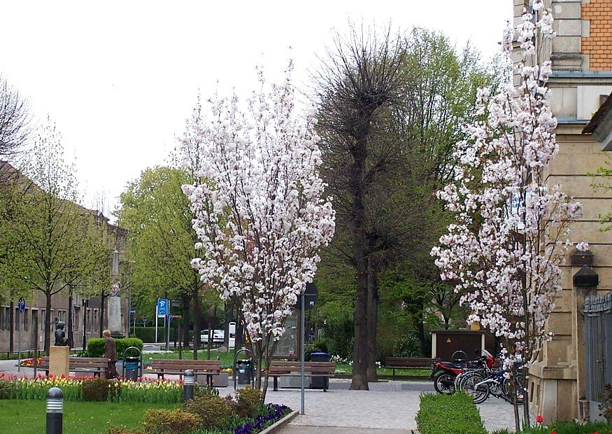 Превью изображения