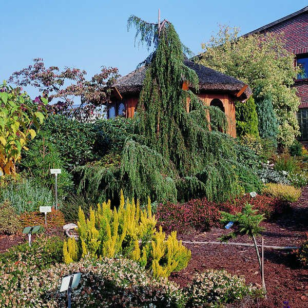 Превью изображения