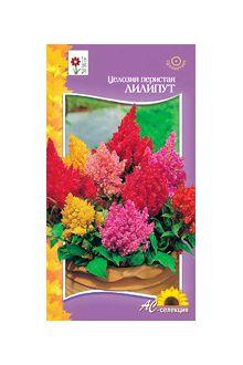 Превью изображения