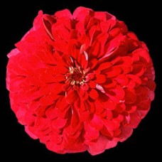 Превью изображения