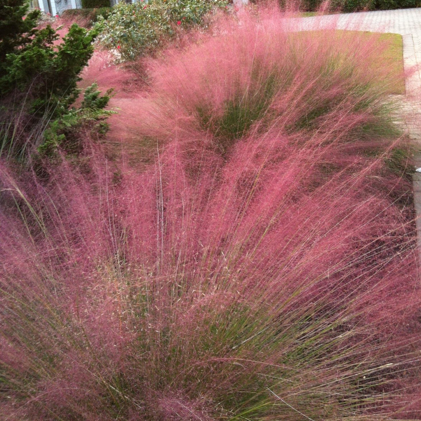 Превью изображения