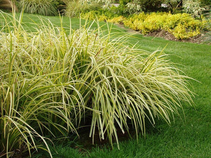 Превью изображения