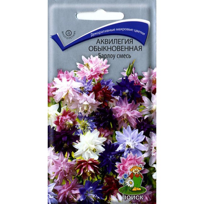 Превью изображения