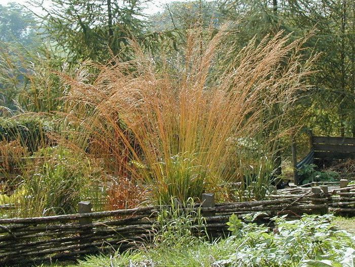 Превью изображения