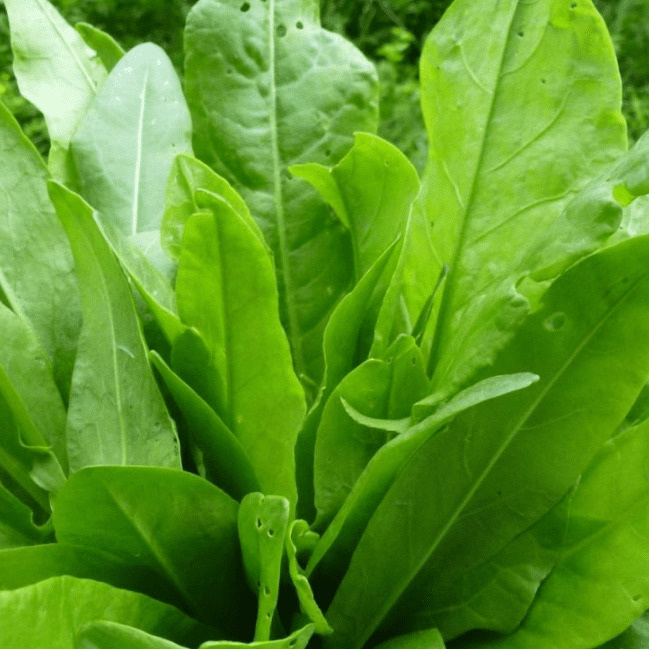 Превью изображения