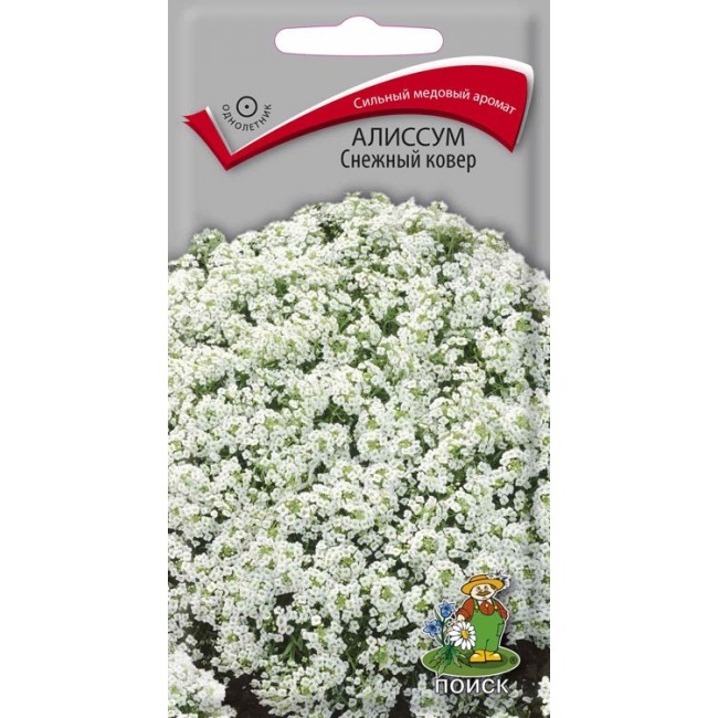 Превью изображения