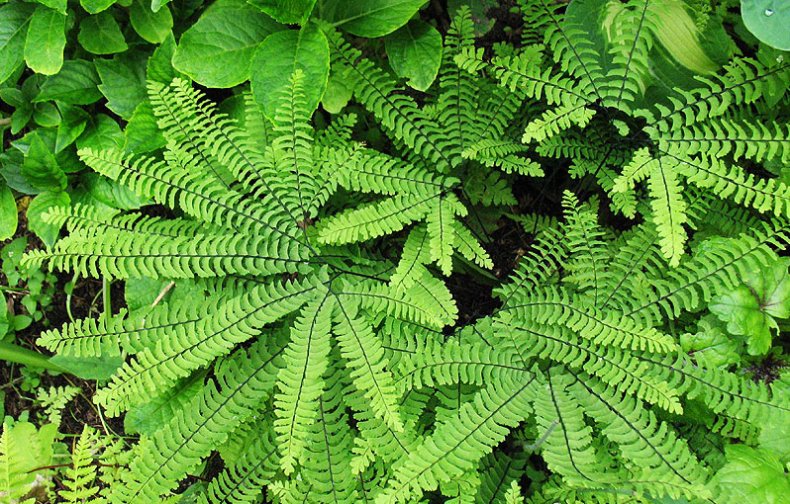 Превью изображения