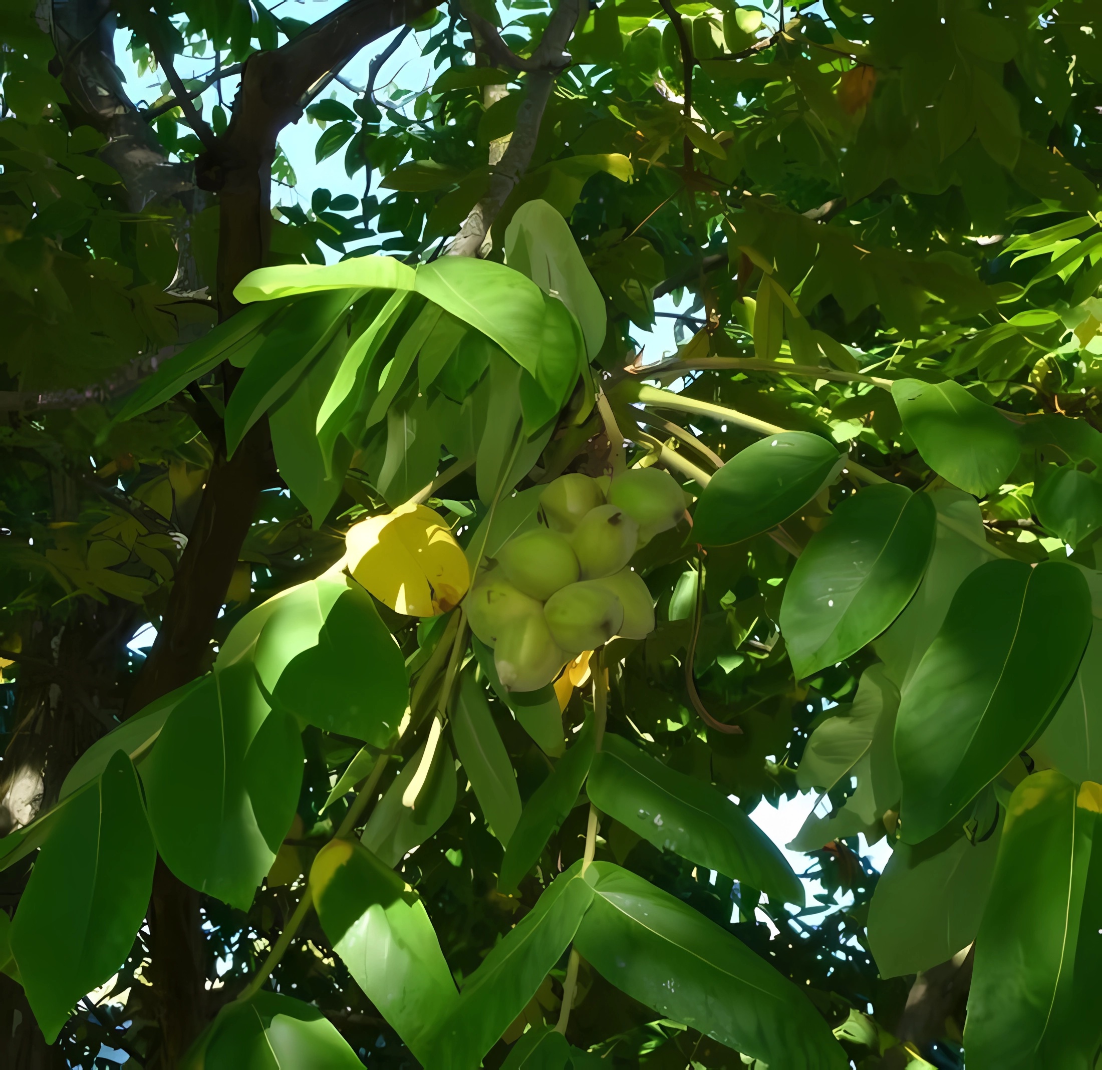 Превью изображения