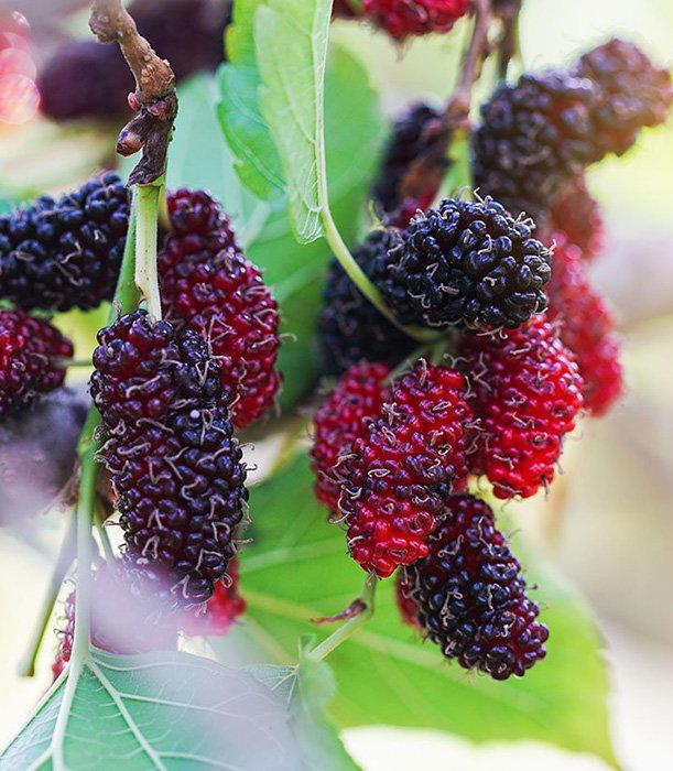 Превью изображения