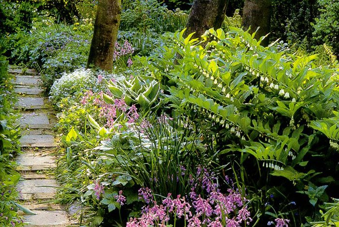 Превью изображения