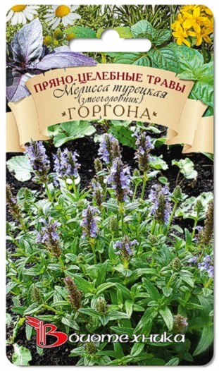 Превью изображения